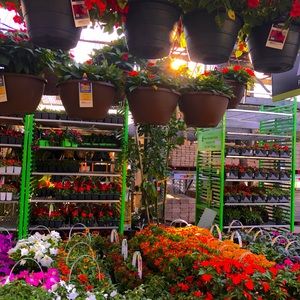 Meet your Posher, Cameron